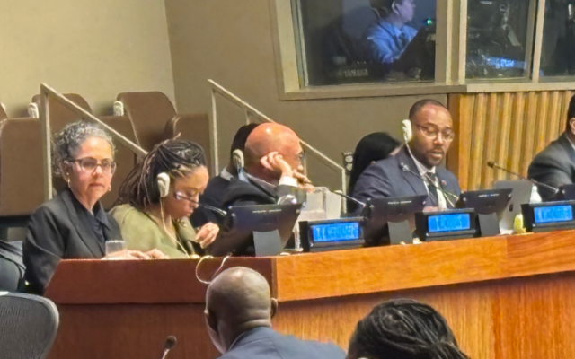 Fórum de afrodescendentes ONU