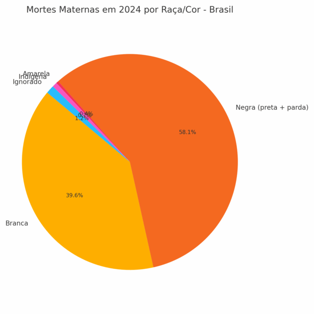 Grafico sobre mortes maternas